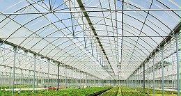 保定市生態園PC陽光板溫室